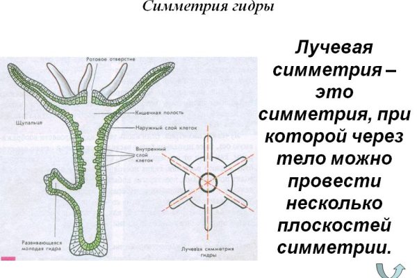 Как зарегаться в кракен